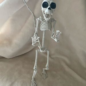 Monkey skeleton for Halloween